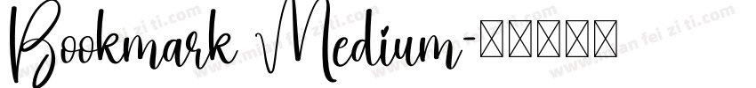 Bookmark Medium字体转换